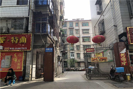 通川中路113-1号桐籽园2室2厅1卫57.5m230万